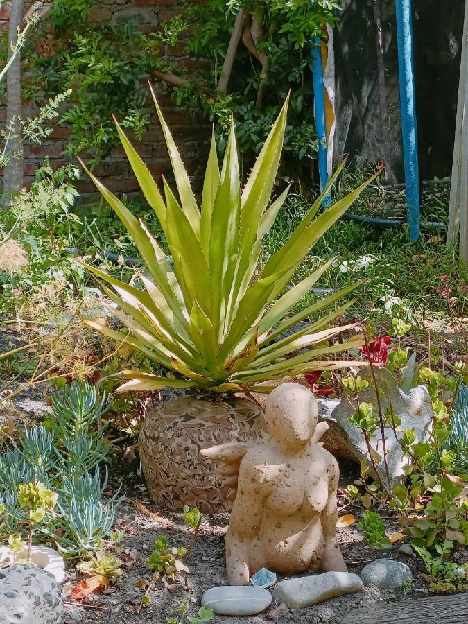 John Bauer Pottery Studio 3* Cape Town